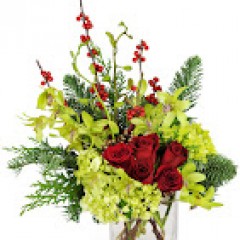 Seller Image